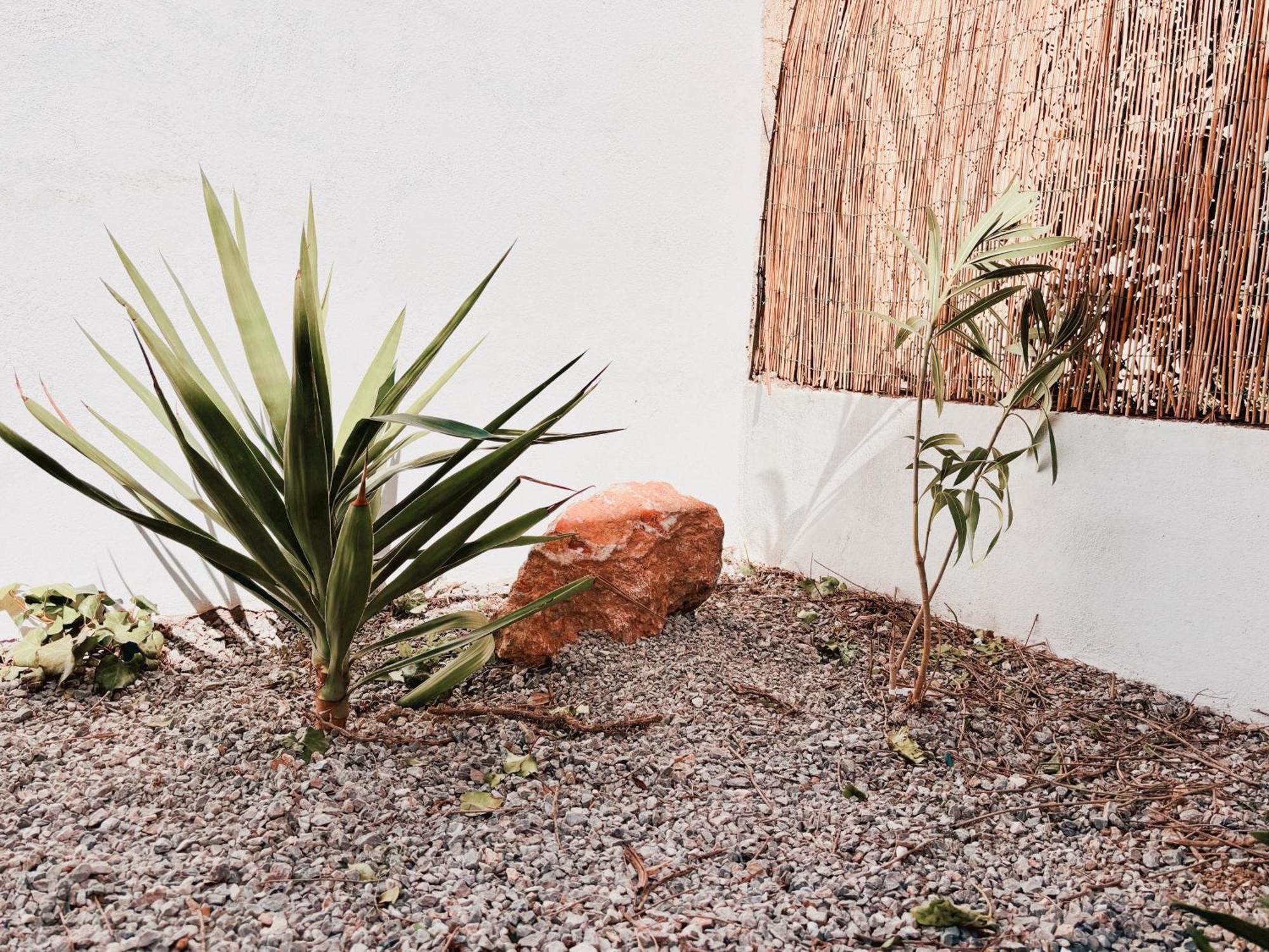 Appartement Avec Jardin Privatif A 300M De La Plage *2* Canet-en-Roussillon Esterno foto